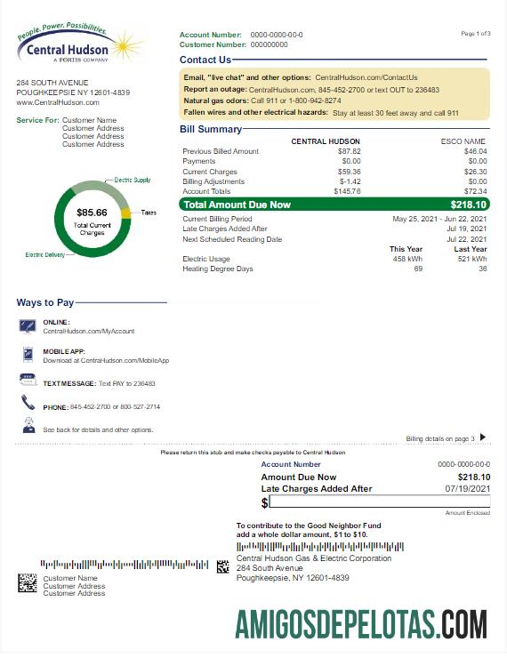 Em branco modelo Word e PDF de conta de serviços públicos EUA NOVA IORQUE CENTRAL HUDSON